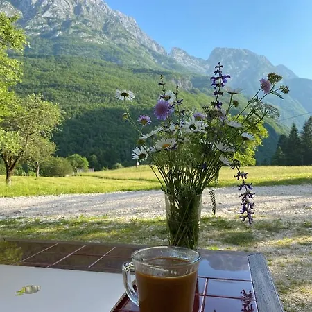 Mala Korita Soce Apartament *
