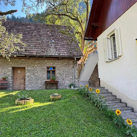 Apartment Mala Korita Soce