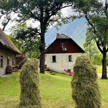 Apartament Mala Korita Soce Soča