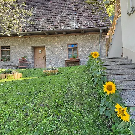 Apartment Mala Korita Soce Soca