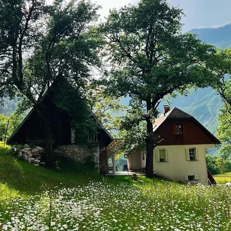Apartment Mala Korita Soce Soca