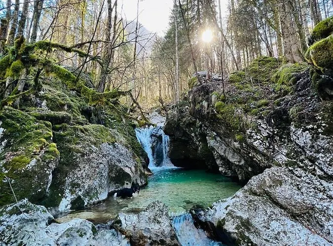 Mala Korita Soce Apartma Soca