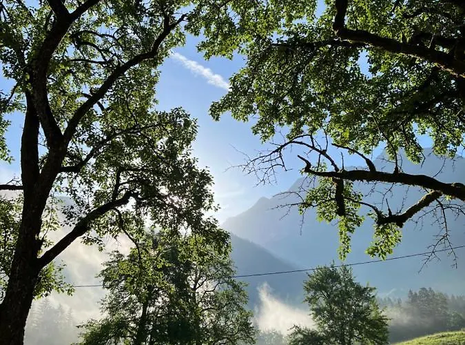 Apartma Mala Korita Soce *