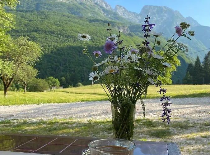 Mala Korita Soce Apartma *