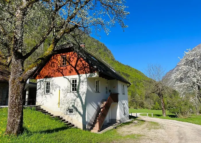 Apartma Mala Korita Soce