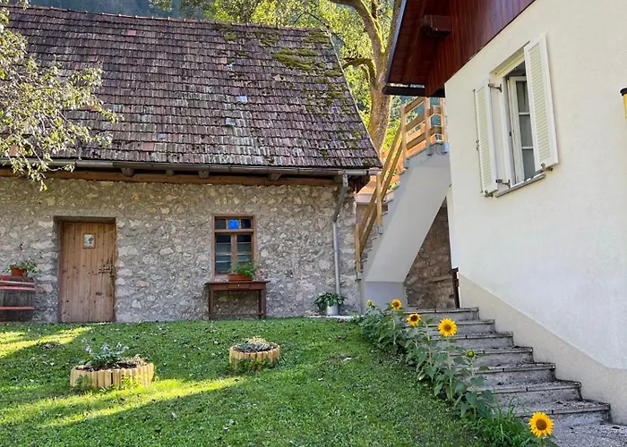 Apartma Mala Korita Soce