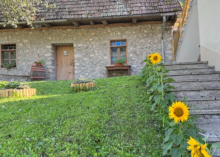 Apartma Mala Korita Soce Soca